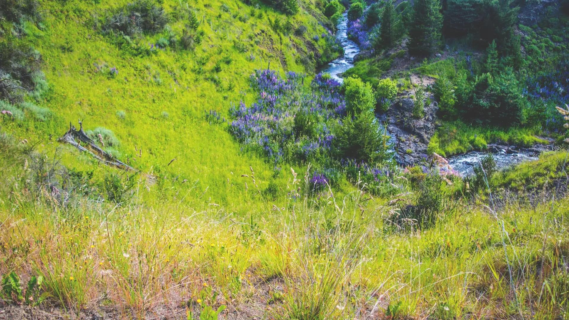 Terreno con Río - Sector El Salto